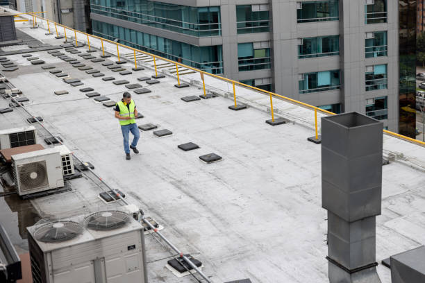 Best Asphalt Shingle Roofing  in Ellport, PA